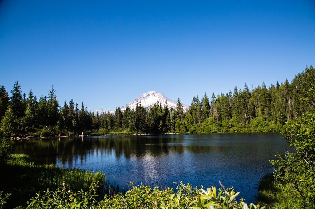Mount Hood Village Welches Zewnętrze zdjęcie
